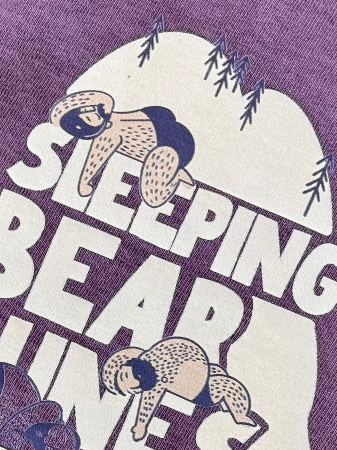 The Sleeping Bear Dunes 2026 tee