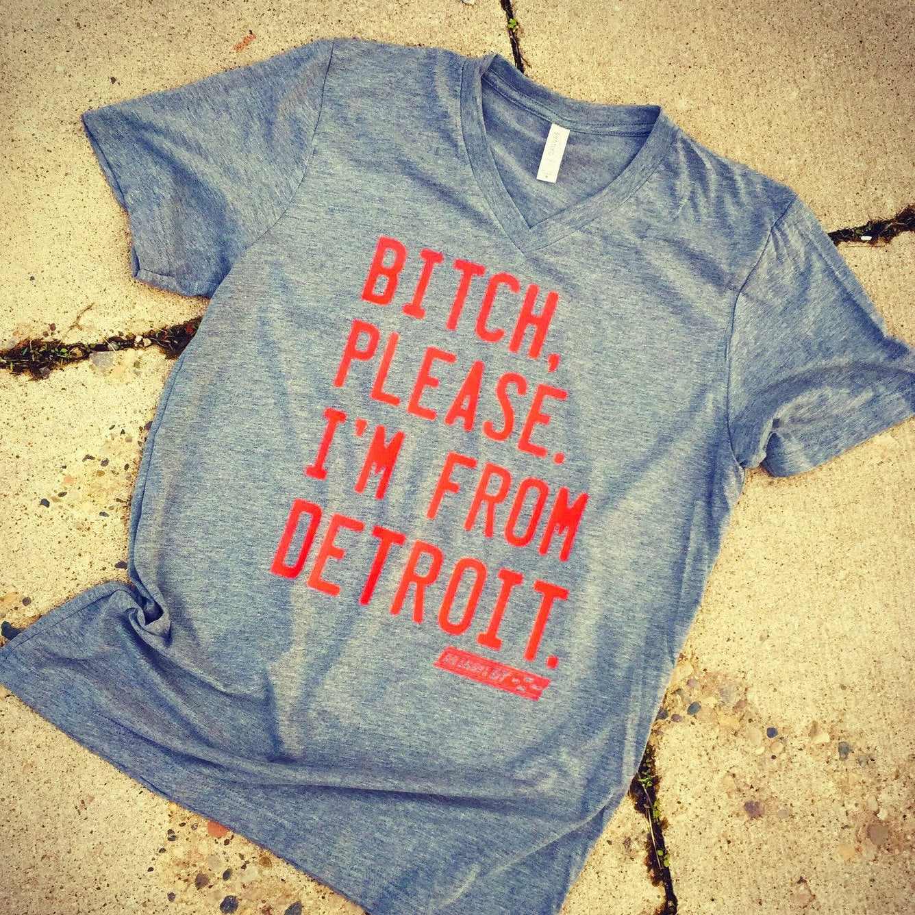 Bitch, Please. I'm From Detroit - V-Neck Tee - Fitted Unisex